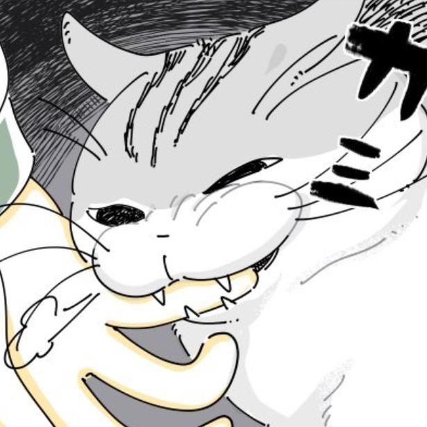 飼い主の手をガブリと噛む猫 画像提供：キュルZ@kyuryuZ
