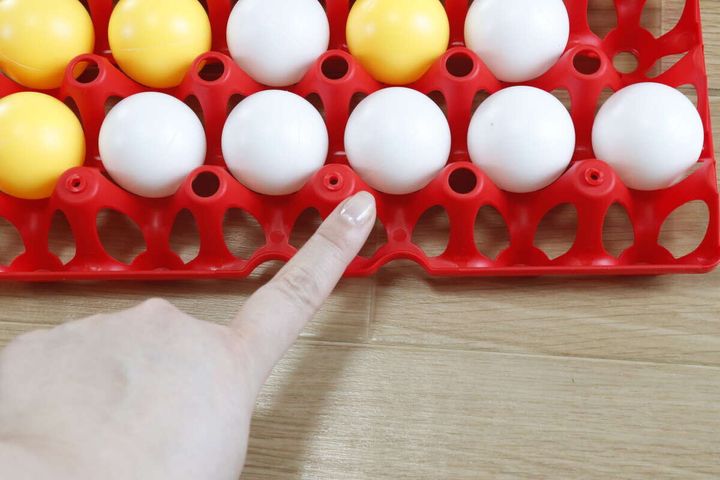 赤いボードに並んだ黄色と白色のピンポン玉を指で示している