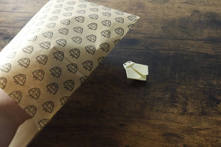 カメムシキャッチャーの茶色い封筒の横に、折り紙で作られたカメムシが置かれている