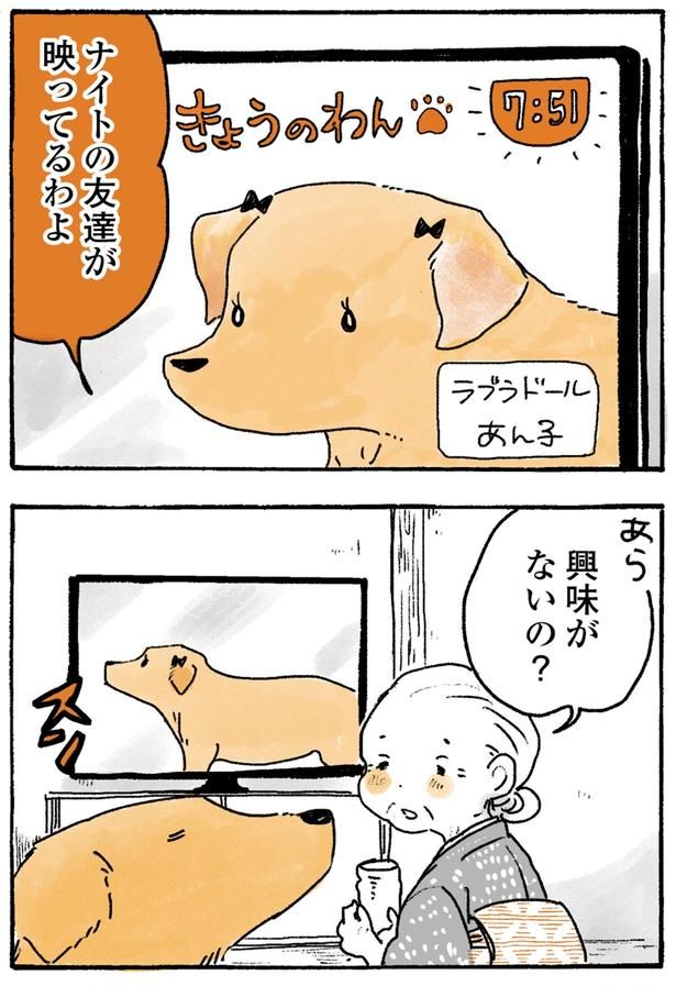 興味がないの？ （C）佐倉イサミ／KADOKAWA