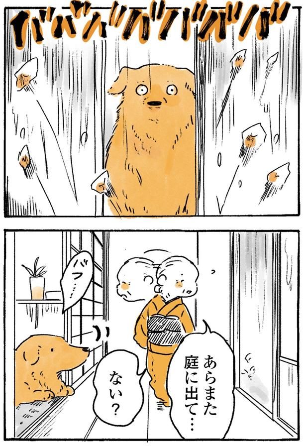 庭に出て…ない？ （C）佐倉イサミ／KADOKAWA
