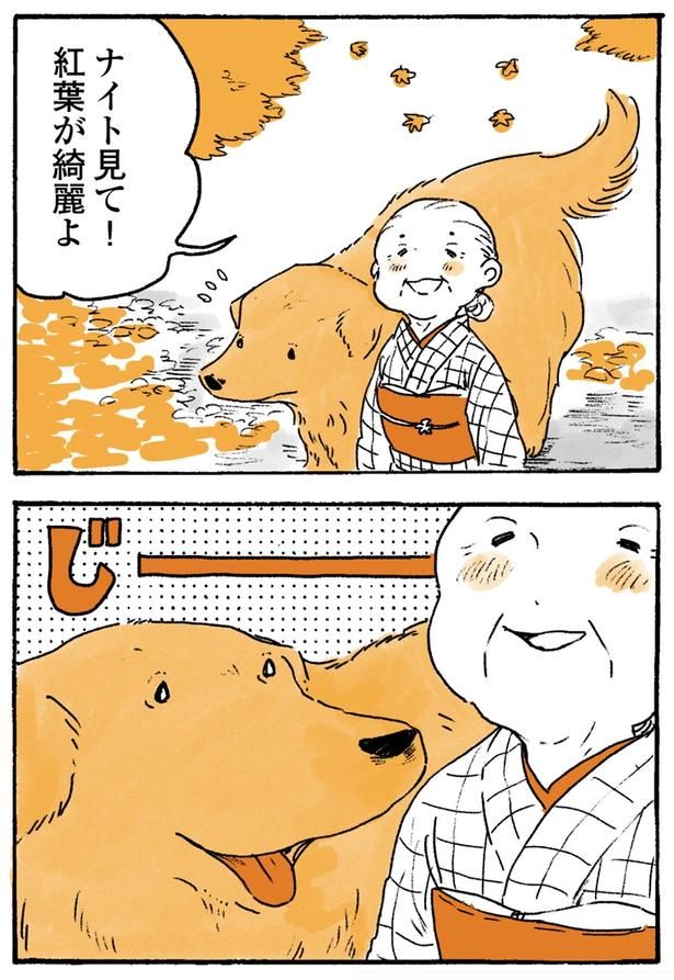紅葉が綺麗よ （C）佐倉イサミ／KADOKAWA
