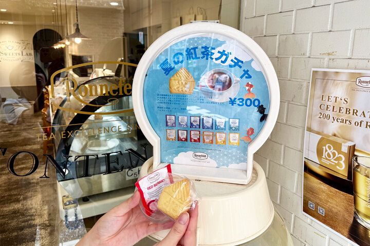 紅茶専門店がつくるご褒美かき氷が人気♪ 代々木の路地裏で心ときめくひんやり時間「ティー スイーツ ラボ コンテナート」