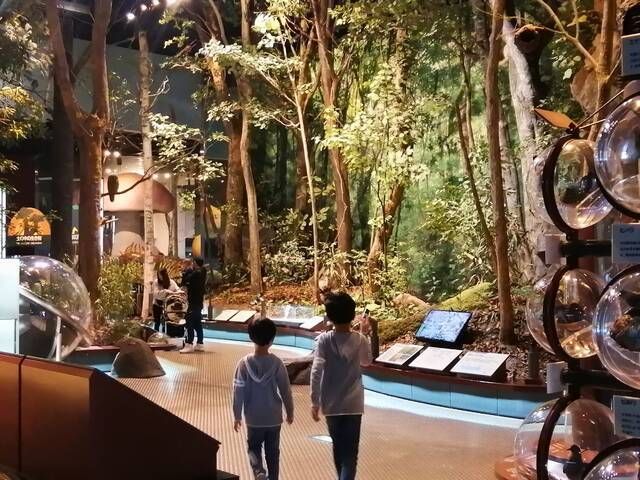  (1705396)