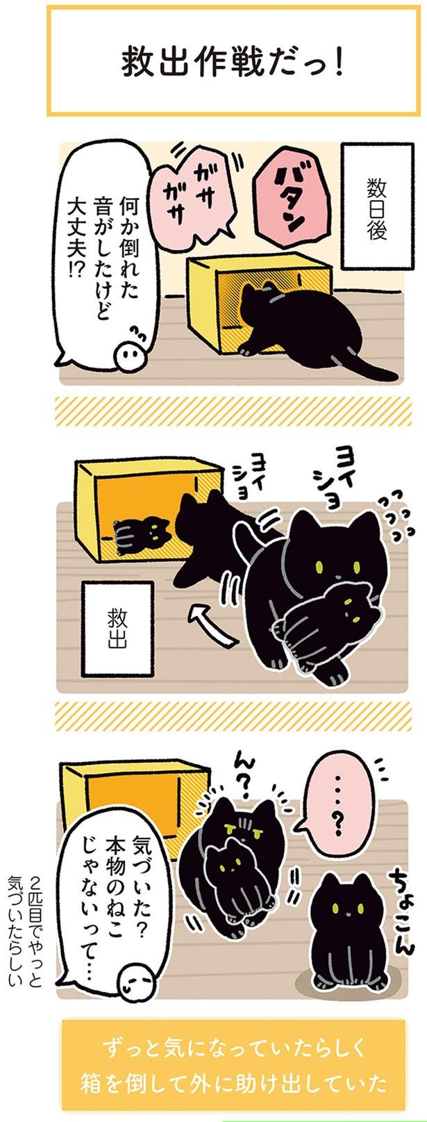 気づいた？ （C）AKR／KADOKAWA
