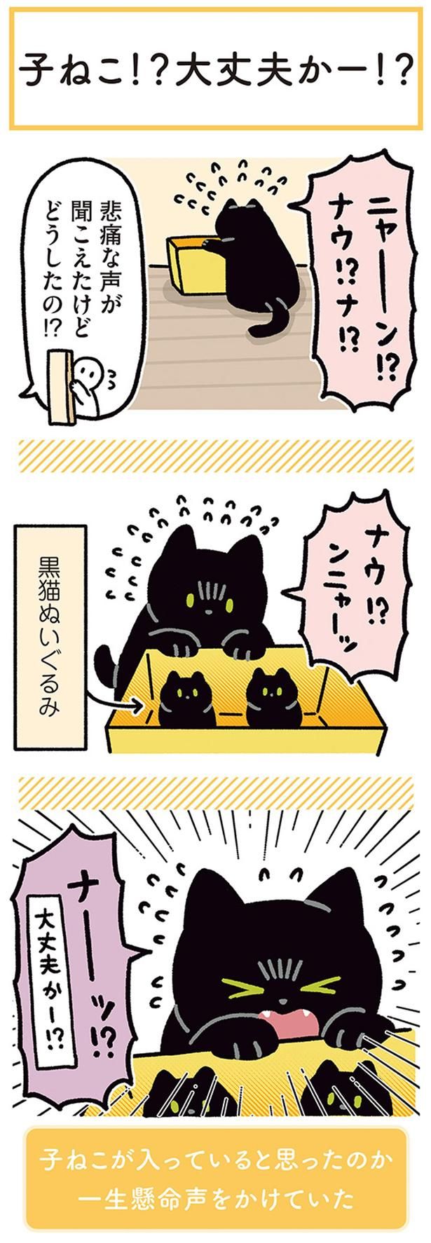 悲痛な声が聞こえたけどどうしたの！？ （C）AKR／KADOKAWA