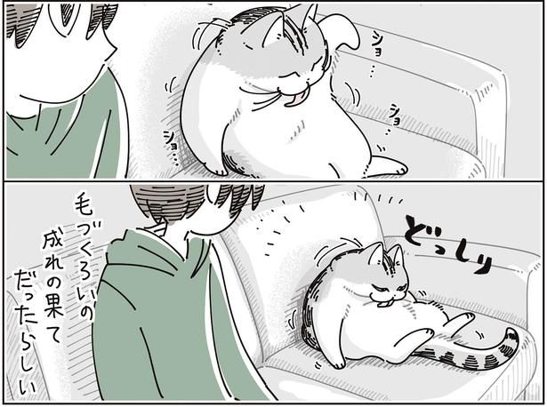 毛づくろいの成れの果て （C）キュルZ／KADOKAWA