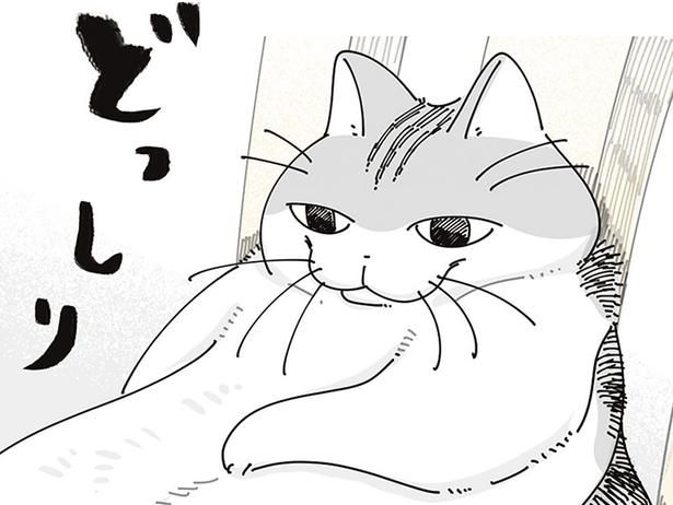 どっしり （C）キュルZ／KADOKAWA
