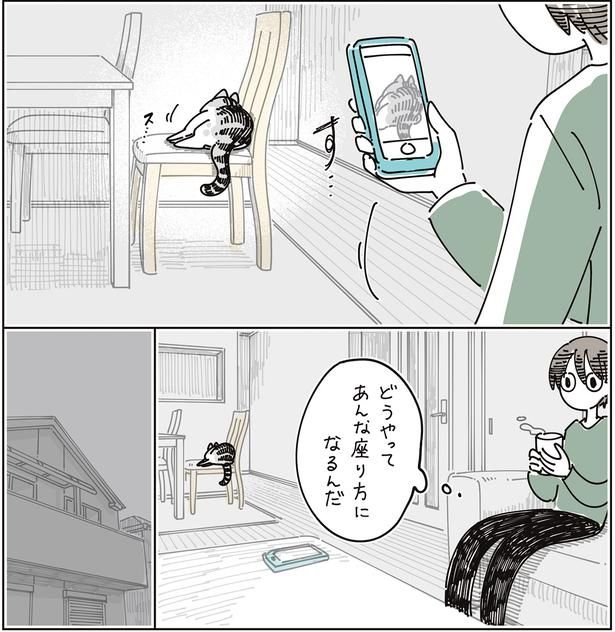 どうやってあんな座り方になるんだ （C）キュルZ／KADOKAWA