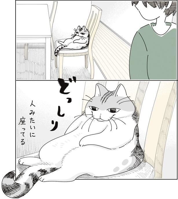 人みたいに座ってる （C）キュルZ／KADOKAWA