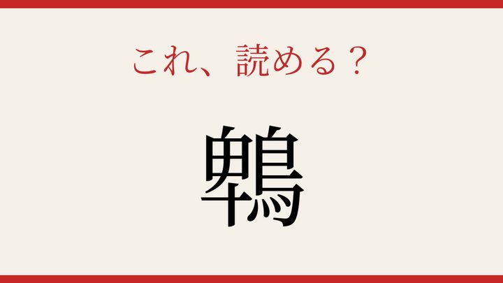 【難読漢字】大人の漢字力チェック！野鳥の名前に隠された意外な文字の問題画像