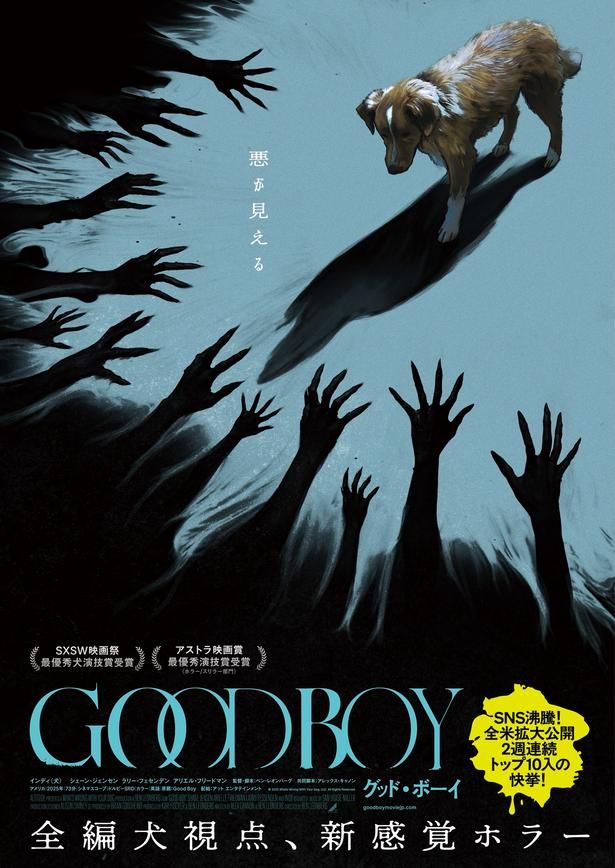 『GOOD BOY／グッド・ボーイ』は公開中！ [c] 2025 Whats Wrong With Your Dog, LLC. All Rights Reserved.