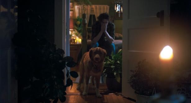 インディだけが感じ取る、不穏な“なにか”の正体とは…？ [c] 2025 Whats Wrong With Your Dog, LLC. All Rights Reserved.