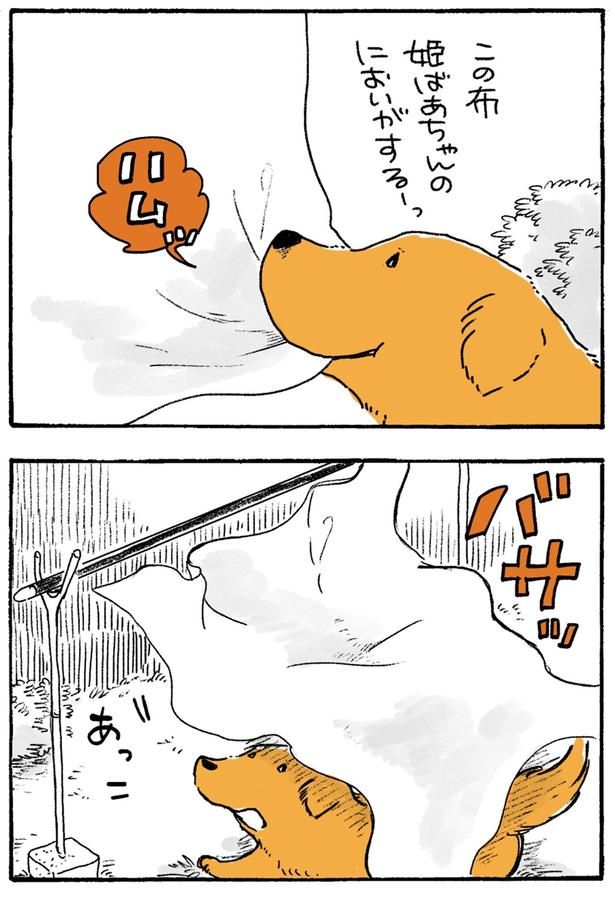 バサッ （C）佐倉イサミ／KADOKAWA