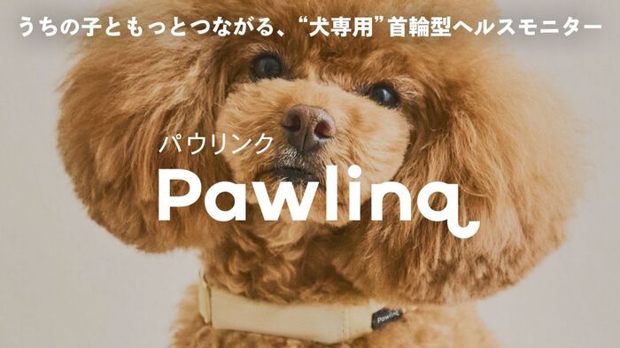 犬も熱中症に注意！猛暑の散歩も留守番も心配…愛犬を守る〈最新熱中症対策テック〉3選♪