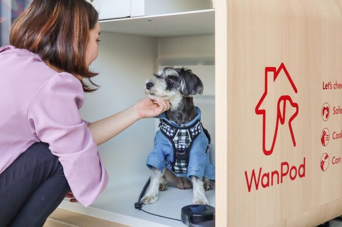 犬も熱中症に注意！猛暑の散歩も留守番も心配…愛犬を守る〈最新熱中症対策テック〉3選♪