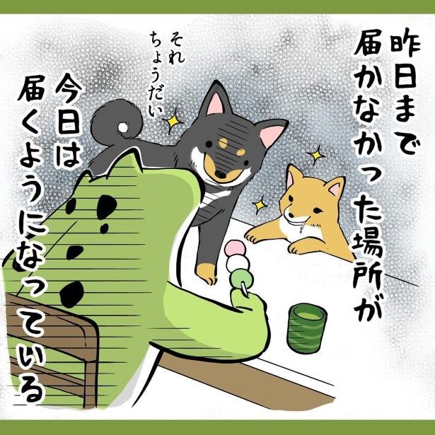 犬との暮らしで子育てとちょっと似てるなぁと思うこと3_P005 ユウコトリトリ(@yuko_toritori)