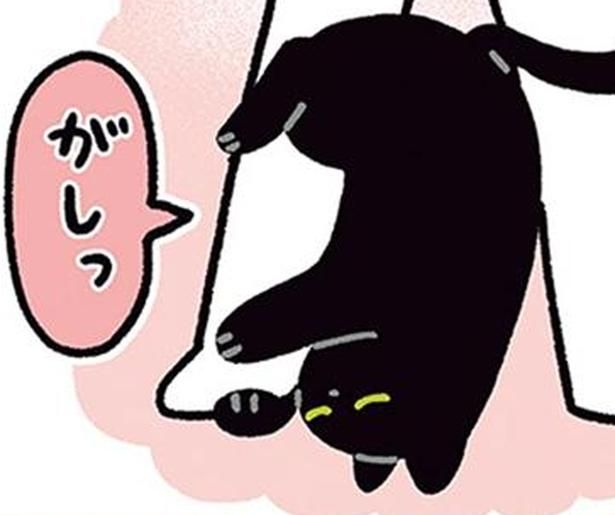 がしっ （C）AKR／KADOKAWA