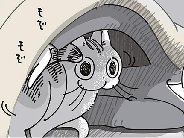布団をチェック （C）キュルZ／KADOKAWA