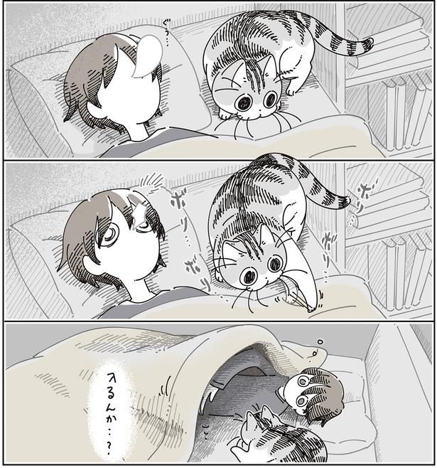 入るんか…？ （C）キュルZ／KADOKAWA