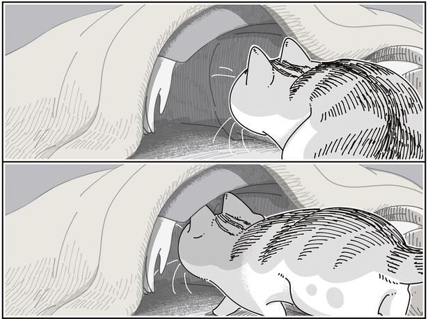 布団の中に… （C）キュルZ／KADOKAWA