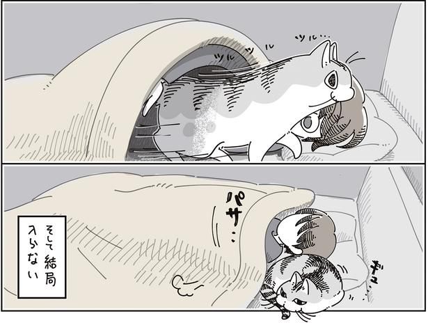 結局入らない （C）キュルZ／KADOKAWA