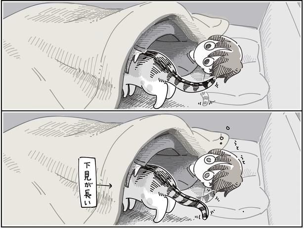 下見が長い （C）キュルZ／KADOKAWA