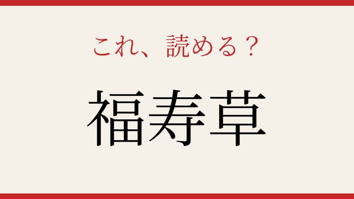 【難読漢字】読めたら周りに自慢しよう！新年を彩る早春の花の問題画像