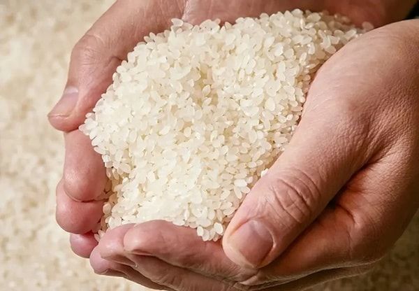 【京都府京都市】極上の朝食体験！「八代目儀兵衛」が「朝御膳」を開始。賞味期限5分の「黄金おこげ」も