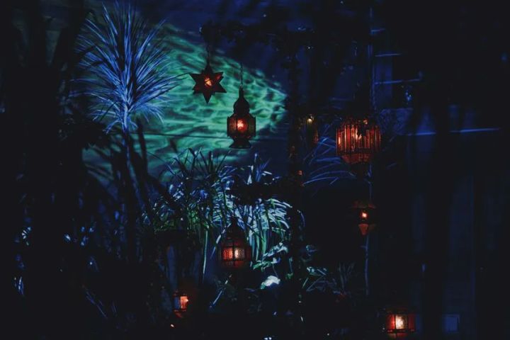ランプが灯る幻想的な植物空間