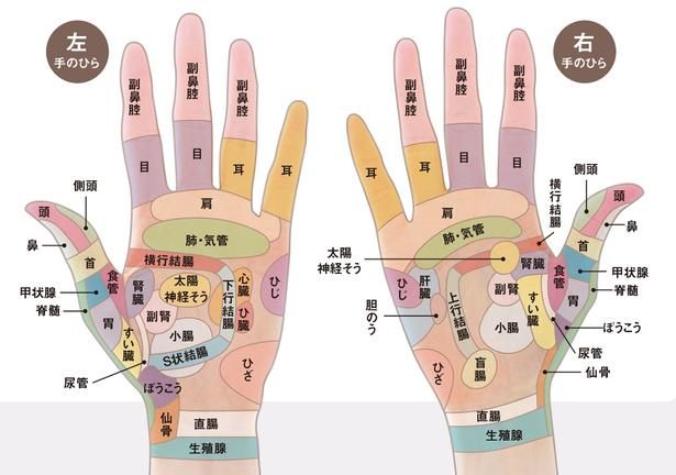 反射区 撮影／山上 忠