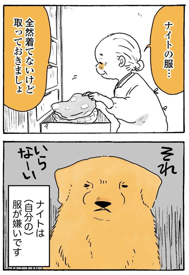 それいらなーい （C）佐倉イサミ／KADOKAWA