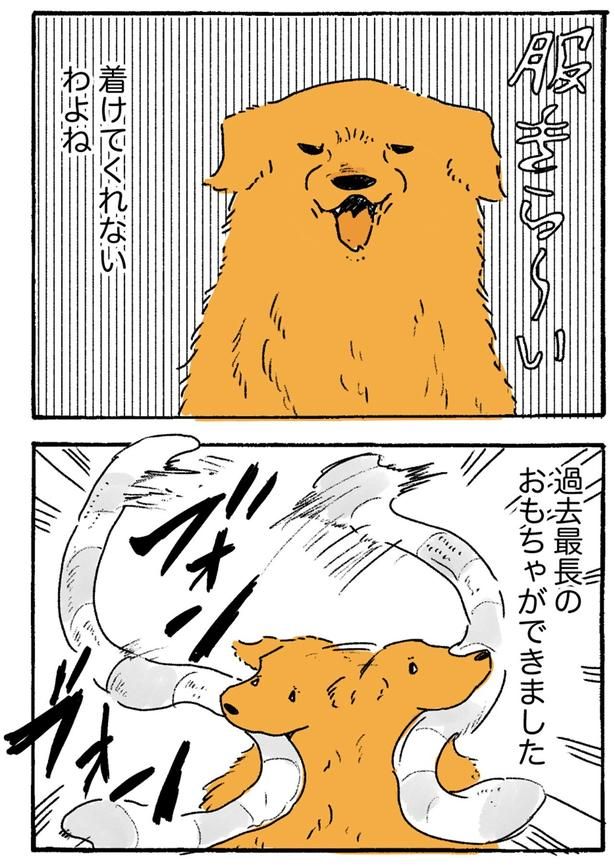着てくれないわよね （C）佐倉イサミ／KADOKAWA