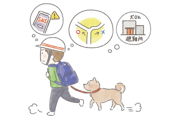 地震・台風に備える「愛犬用の避難グッズ」12選＋同行避難で困らない基本のしつけ