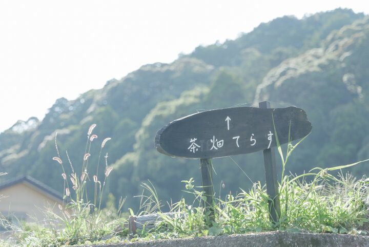自慢のお茶をかき氷などで味わえる茶房も人気。愛知・岡崎の「産地問屋 宮ザキ園」