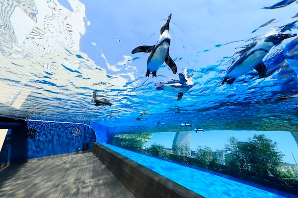 【東京都豊島区】サンシャインシティの3施設で、当日券提示による相互割引キャンペーンを実施中