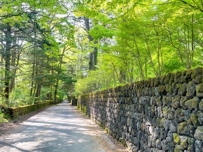 夏休みの行き先、決まった？猛暑を忘れる『涼しい旅』へ！注目の避暑リゾート2選♡
