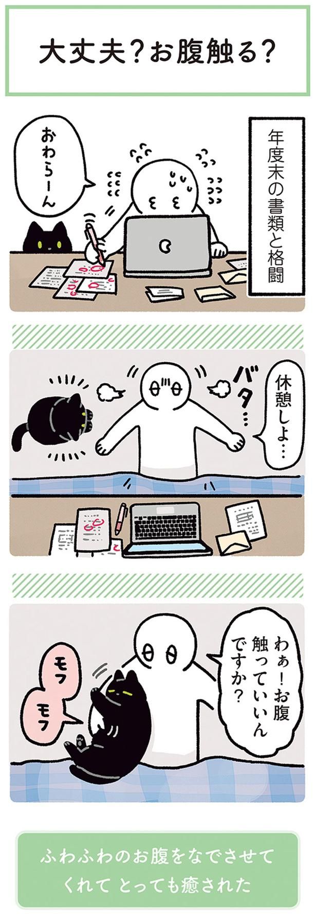わぁ！お腹触っていいんですか？ （C）AKR／KADOKAWA