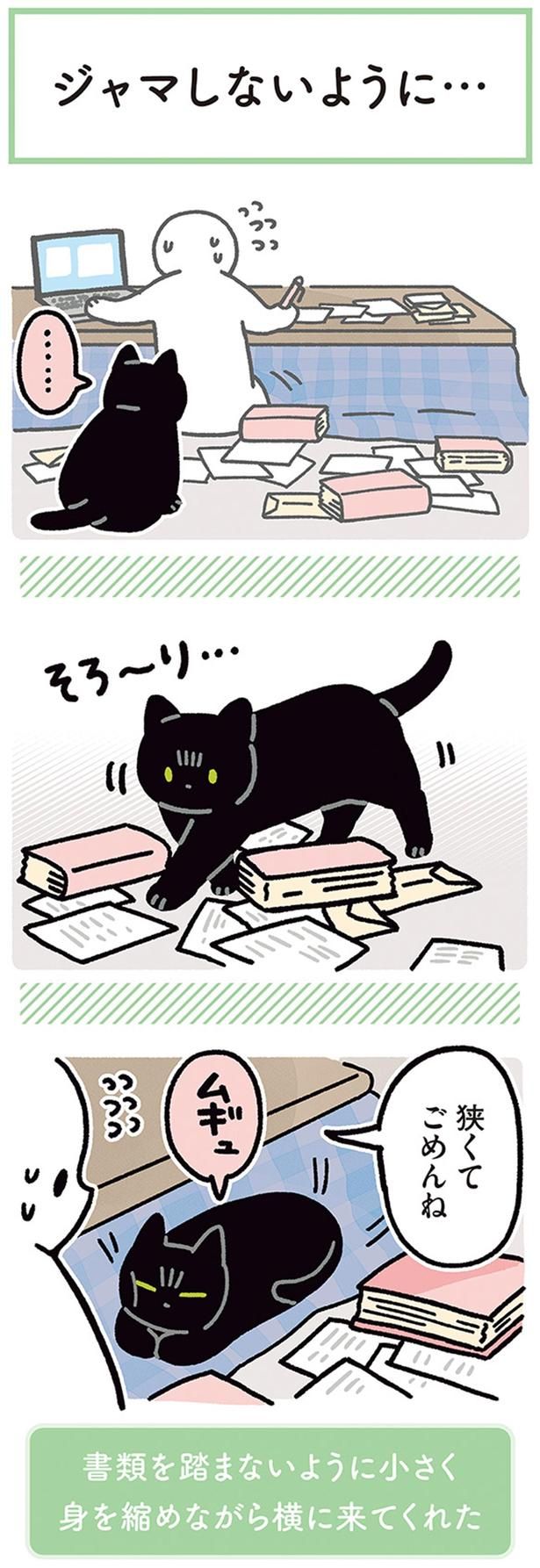 狭くてごめんね （C）AKR／KADOKAWA