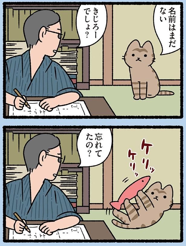 忘れてたの？ （C）ぱんだにあ／KADOKAWA