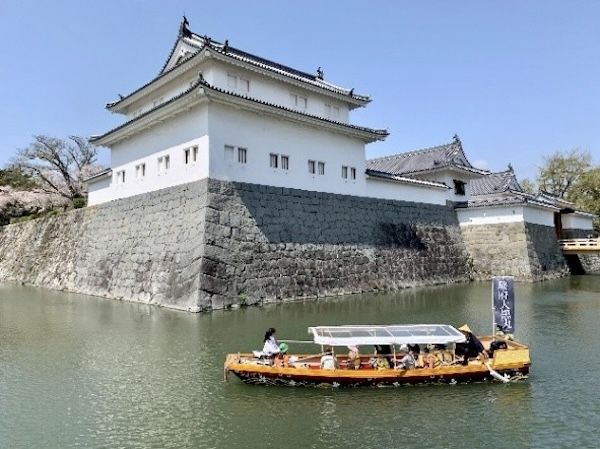 静岡市の個性豊かな夏イベント！夏祭り＆花火に周辺観光スポットも紹介