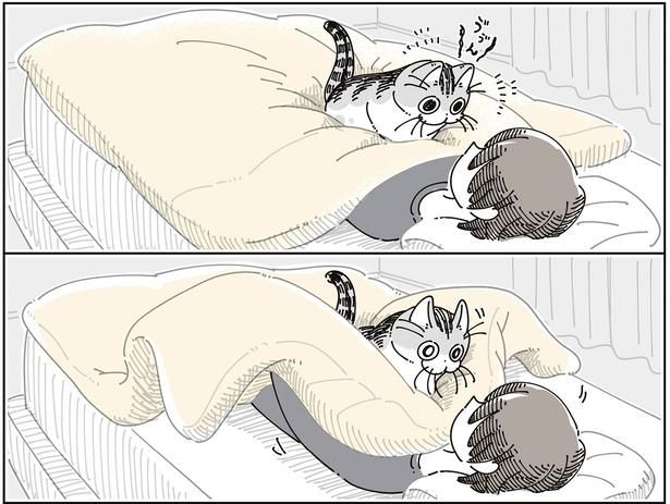 到着 （C）キュルZ／KADOKAWA