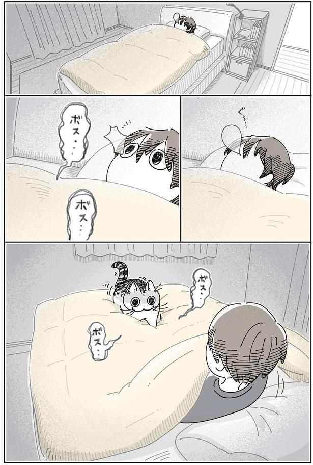 ボス…ボス… （C）キュルZ／KADOKAWA