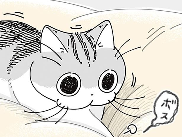 踏みしめて （C）キュルZ／KADOKAWA