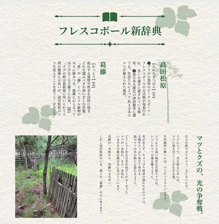 【岩手県陸前高田市】海水浴場で開催、「フレスコボールリクゼンタカタカップ2026」のスペシャルサイト公開
