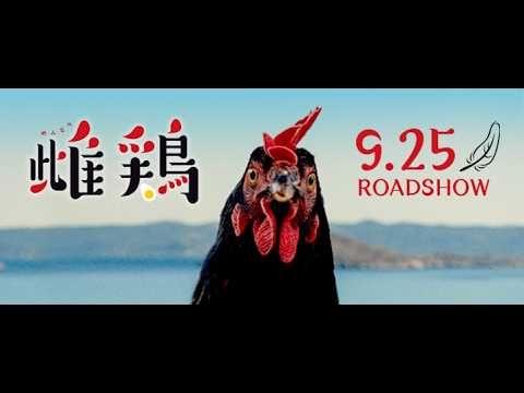 雌鶏が主演のヒューマンドラマ？ 養鶏場で卵として産み落とされたときから、黒い雌鶏が見てきたものとは……