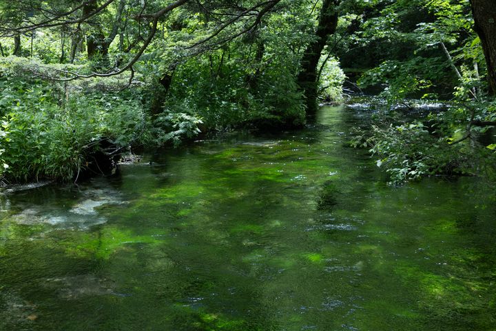 上高地 梓川の支流