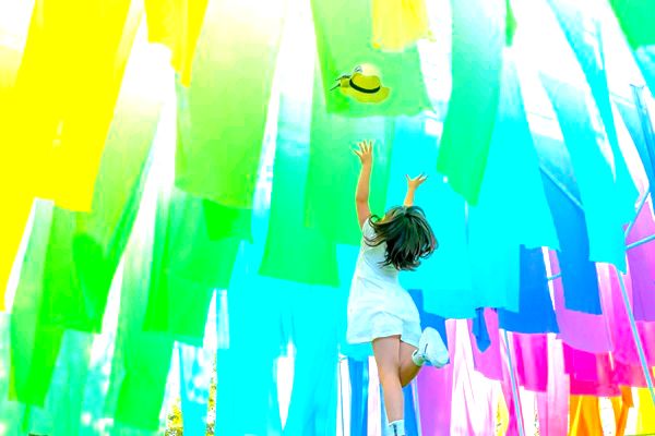 【滋賀県高島市】「びわこ箱館山」がリニューアル！絶景・花・アクティビティ・グルメで1日中遊べる