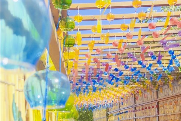 【滋賀県高島市】「びわこ箱館山」がリニューアル！絶景・花・アクティビティ・グルメで1日中遊べる