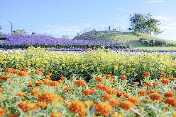 【滋賀県高島市】「びわこ箱館山」がリニューアル！絶景・花・アクティビティ・グルメで1日中遊べる